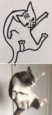 На листе нарисованы коты, весь лист…» — создано в Шедевруме