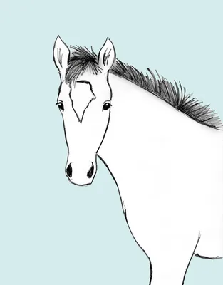 Лошадь нарисованная в чернилах Иллюстрация вектора - иллюстрации  насчитывающей грива, водительство: 85137670