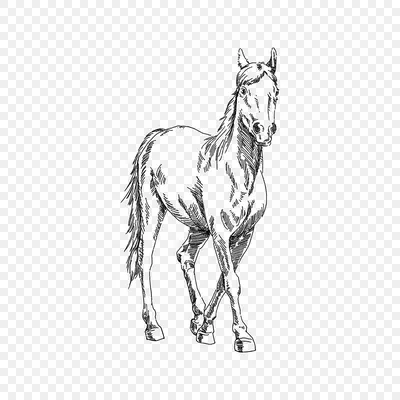 Картина \"Нарисованная лошадь\" | Интернет-магазин картин \"АртФактор\"