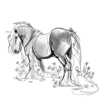 Лошадь гонки без проводки нарисованной в чернилах вручную Иллюстрация  вектора - иллюстрации насчитывающей икона, смотреть: 102168472