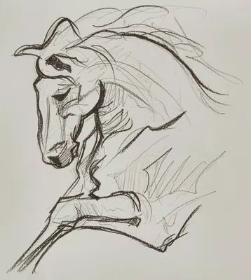 Лошадь нарисованная рукой иллюстрация вектора. иллюстрации насчитывающей  осленок - 35950920
