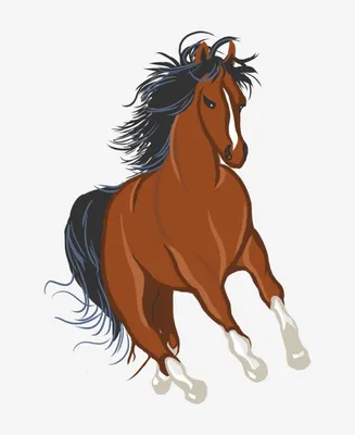 Лошадь нарисованная рукой иллюстрация вектора. иллюстрации насчитывающей  друг - 35950839
