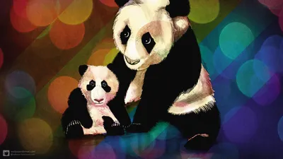 Симпатичная панда ручной работы животных иллюстрации акварели фон Векторное  изображение ©keath369 339518572