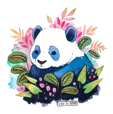 милая панда PNG рисунок, картинки и пнг прозрачный для бесплатной загрузки  | Pngtree