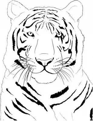 Детский рисунок тигр - 35 фото