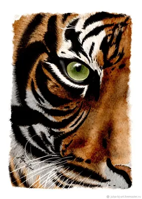 Трафареты для выжигания по дереву: картинка тигра, контурный | Животное  трафарет, Татуировки с тигром, Иллюстрации с тигром