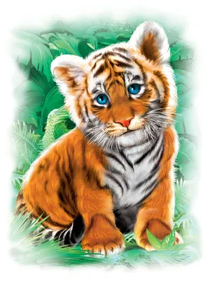 Рисунок для детей тигр (46 шт)