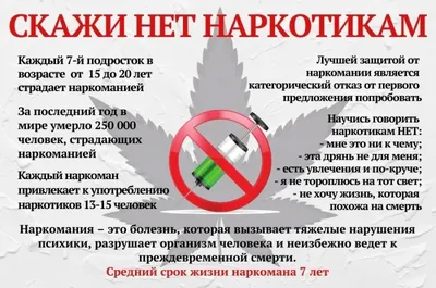 За пропаганду наркотиков в сети хотят ввести уголовную ответственность -  Российская газета