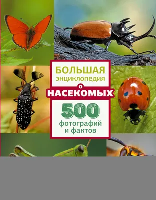 Насекомые. Большая российская энциклопедия