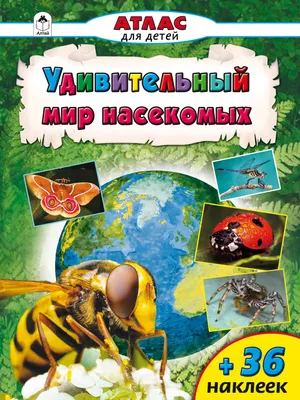 Энциклопедия Большая книга о насекомых 1001фотография купить по цене 1729 ₽  в интернет-магазине Детский мир