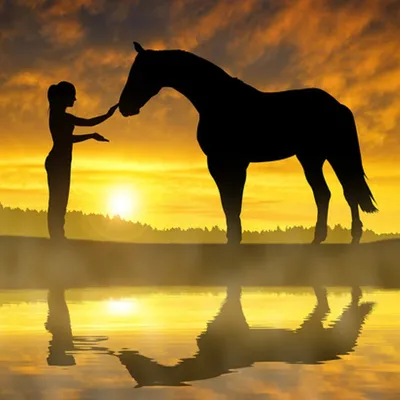 Парк-клуб «Дубровский» - У лошадей есть одно особое качество... Привязывать  сердце человека навсегда❤ ⠀ Наши лошади - это настоящие проводники в  живописные уголки волшебной природы. Прогулки с ними подарят вам  удивительные эмоции,