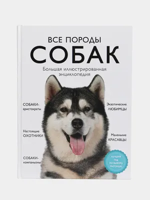 Еда для собак - Irby-Shop.ru