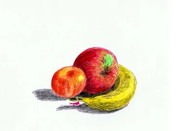 Фотоотчет о занятии по рисованию «Как мы рисовали натюрморт осенних плодов»  с детьми подготовительной группы (13 фото). Воспитателям детских садов,  школьным учителям и педагогам - Маам.ру