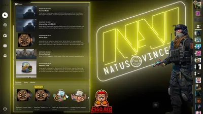 NAVI Shop - 100% Official Online Merchandise Store | Natus Vincere