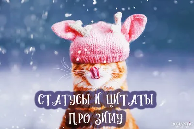 Не хочу мороза и зимы Хочу тепла и лета, Мем ну пожалуйста (please) -  Рисовач .Ру