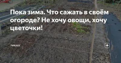 Я не хочу зимы. Я просто хочу потрогать снег, подышать морозным воздухом,  прогуляться в зимней одежде. А потом убирайте все. Хватит. … | Instagram