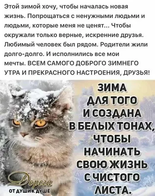 Ответы Mail.ru: Не хочу зиму, мороз плохо переношу, а вы?