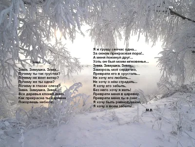 Не люблю зиму 😬 хочу в тепло и на море 🤣🤣🤣 но зимние фото это всегда  сказка 🥰 Спасибо мужу @palar1985 за минифотосет 🤗😘 Локация… | Instagram