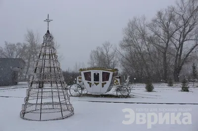 Пока зима. Что сажать в своём огороде? Не хочу овощи, хочу цветочки! |  Пикабу | Дзен