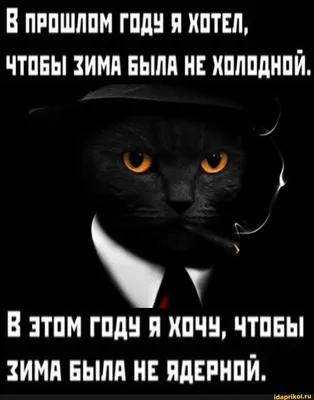 В ПРОШЛОМ ГОДУ Я ХОТЕЛ, ЧТОБЫ ЗИМА БЫЛА НЕ ХОЛОДНОЙ, В том ГОДУ Я ХОЧУ,  ЧТОБЫ ЗИМА БЫЛА НЕ ЯДЕРНОЙ. - АйДаПрикол | Зима, Томи, Юмор
