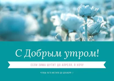 Провела мини-фотосессию в зимнем лесу. У нас впервые за зиму выпал снег и я  так рада. Уже не хочу искать нового фотографа | Настенька Оногда-Пэт | Дзен