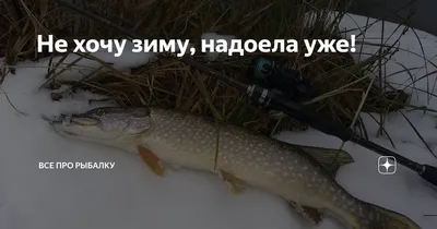 Суровая зима! | Пикабу
