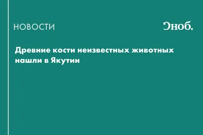 Неизвестное существо снятое на камеру в лесу 6 апреля 2019 | Пикабу