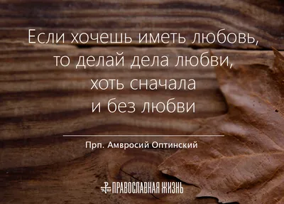 Без любви жить легче. Но без нее нет смысла. | Женские цитаты,  Романтические цитаты, Поддерживающие цитаты