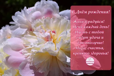 25 белых и розовых пионов в корзине | доставка по Москве и области