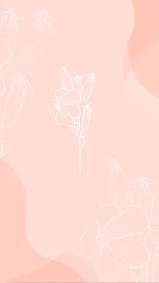 Нежный фон для сторис | Фон, Картинки, Бумажные цветы