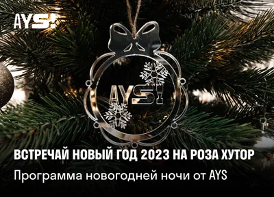 Большинство россиян отмечают Новый год дома и любят дарить подарки -  Российская газета