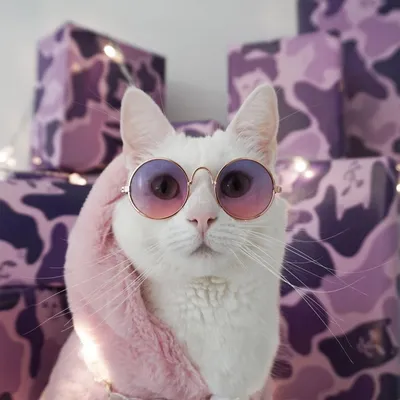 Картинки няшных котиков мультяшных 2024 | ВКонтакте