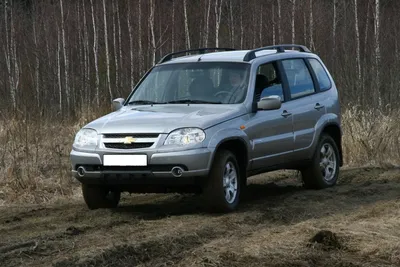 Chevrolet Niva (Шевроле Нива) - Продажа, Цены, Отзывы, Фото: 2385 объявлений