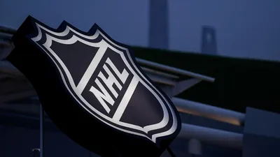 Best NHL Arenas for the Ultimate Fan Experience | Truly Engaging