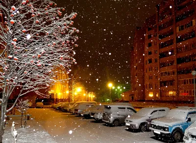 ☕ зимний город, ночь, снег, на …» — создано в Шедевруме