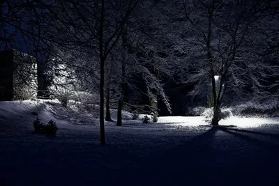 Ночной город, зима, много снега, …» — создано в Шедевруме