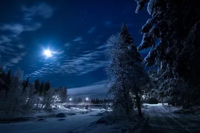 Красивый ландшафт ночи зимы с деревьями покрытыми снегом Christ Стоковое  Фото - изображение насчитывающей места, ель: 131095950