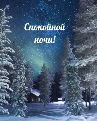 Фотографии Москва Россия Зима снегу в ночи Уличные фонари Здания