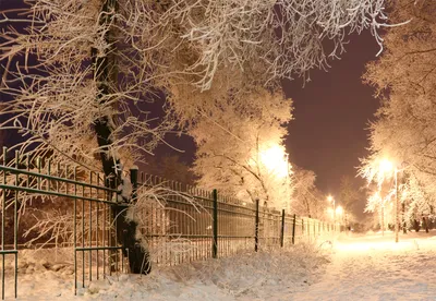 Зимний ночной пейзаж деревни Иллюстрация штока - иллюстрации насчитывающей  красивейшее, дом: 158931918