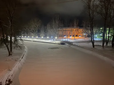 Ночной Город Зима Пейзаж Январе Город Огни Украшены Отдыха Деревья стоковое  фото ©xload 255272286