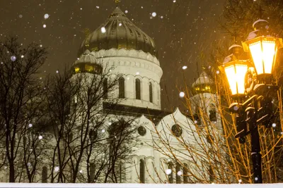 Ночной обзор: трагедия в Астрахани, наступление зимы, проверки  производителей мяса и яиц | ИА “ОнлайнТамбов.ру”