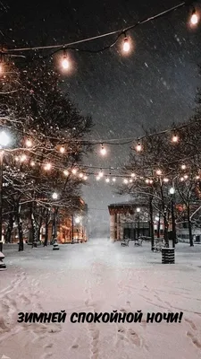 Зимний ночной лесной пейзаж с лунным светом, снег, зима, сосна фон картинки  и Фото для бесплатной загрузки