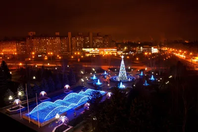 Рождественская ночь зимний ночной пейзаж синий рекламный фон Рождественская  ночь зима Ночная сцена синий реклама фон Рождественская Фон Обои  Изображение для бесплатной загрузки - Pngtree