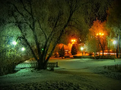 Ночной Лес Под Снегом Зимой В Финляндии После Снегопада Фотография,  картинки, изображения и сток-фотография без роялти. Image 27733757