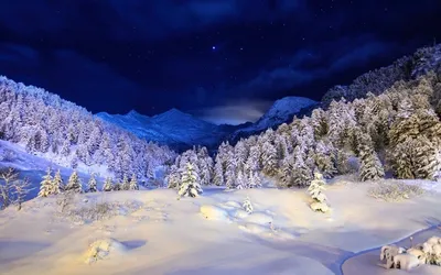Картинки Лучи света парк Нижнего Тагила Зима Природа Снег в ночи