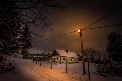 Мрачный ночной зимний лес - 72 фото