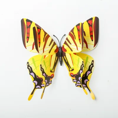 Ночные бабочки\" | solowayart