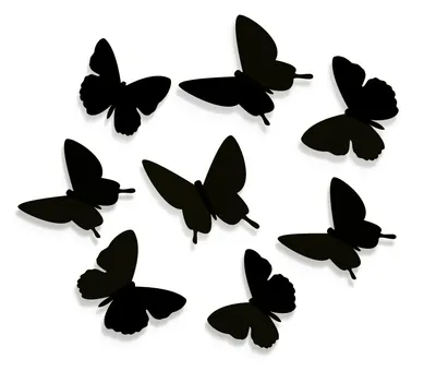 Черные бабочки на белой предпосылке Иллюстрация штока - иллюстрации  насчитывающей собрание, бабочка: 62438232