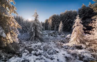 Красивые пейзажи ноября - красивые фото