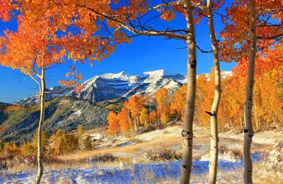 Картинки природа в ноябре красивые (67 фото) » Картинки и статусы про  окружающий мир вокруг